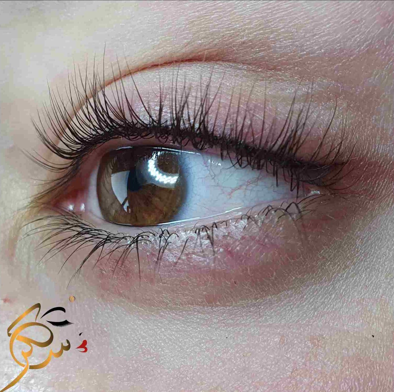 Lash Liner