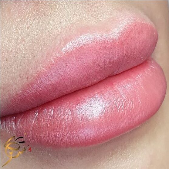 Sugar Lips
